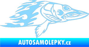 Samolepka Animal flames 074 pravá ryba světle modrá