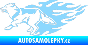 Samolepka Animal flames 090 levá vlk světle modrá