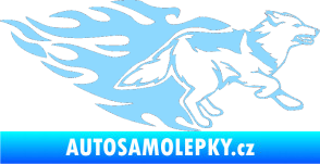 Samolepka Animal flames 090 pravá  vlk světle modrá