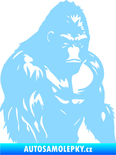Samolepka Gorila 004 pravá světle modrá
