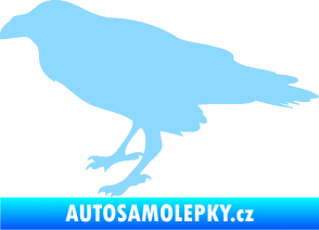 Samolepka Havran 001 levá světle modrá