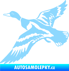 Samolepka Kachna divoká 001 levá kačer světle modrá