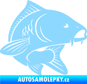 Samolepka Kapr 008 pravá světle modrá