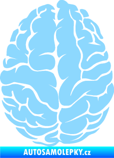Samolepka Mozek 001 levá světle modrá