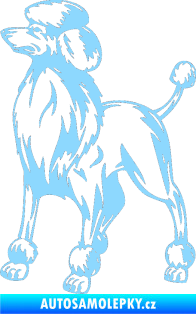 Samolepka Pes 014 levá Pudl světle modrá