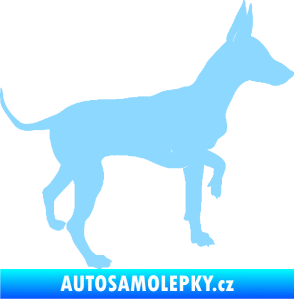 Samolepka Pes 093 pravá Pražský krysařík světle modrá