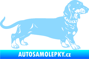 Samolepka Pes 122 pravá jezevčík světle modrá