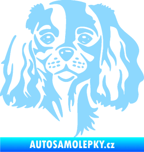 Samolepka Pes 132 pravá Cavalier king Charles spaniel světle modrá