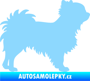 Samolepka Pes 156 pravá čivava světle modrá