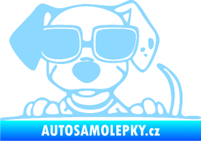 Samolepka Pes s brýlemi 101 levá v autě světle modrá