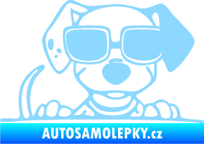 Samolepka Pes s brýlemi 101 pravá v autě světle modrá