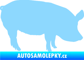 Samolepka Prase 001 pravá světle modrá