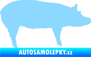 Samolepka Prase 002 pravá světle modrá
