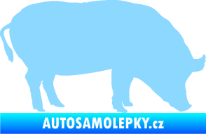 Samolepka Prase 004 pravá světle modrá
