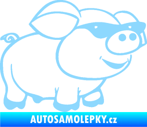 Samolepka Prase 006 pravá frajer v brýlích světle modrá
