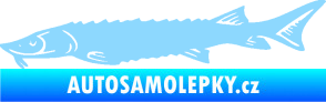 Samolepka Ryba 020 levá jeseter světle modrá