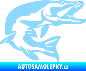 Samolepka Štika 001 pravá světle modrá