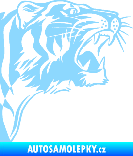 Samolepka Tygr 002 pravá světle modrá