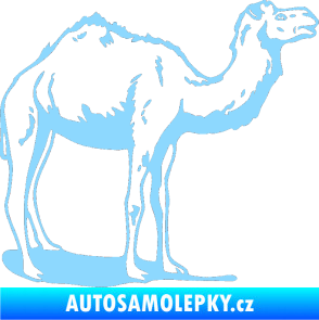 Samolepka Velbloud 001 pravá světle modrá