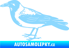 Samolepka Vrána 001 levá světle modrá