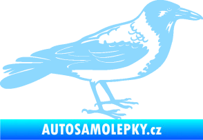 Samolepka Vrána 001 pravá světle modrá