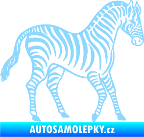 Samolepka Zebra 002 pravá světle modrá