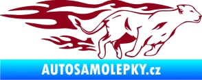 Samolepka Animal flames 084 pravá lvice bordó vínová