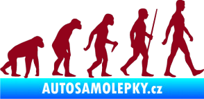 Samolepka Evoluce 001 pravá bordó vínová
