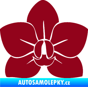 Samolepka Květina dekor 023 orchidej květ bordó vínová