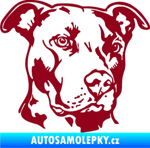 Samolepka Pes 198 pitbull pravá bordó vínová