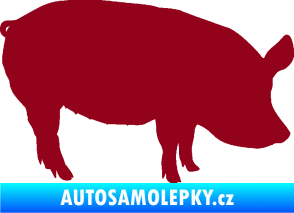 Samolepka Prase 001 pravá bordó vínová