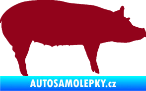 Samolepka Prase 002 pravá bordó vínová