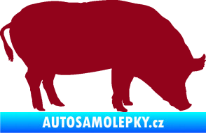 Samolepka Prase 004 pravá bordó vínová