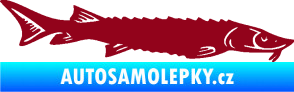 Samolepka Ryba 020 pravá jeseter bordó vínová