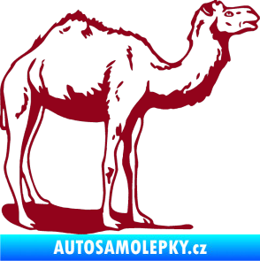 Samolepka Velbloud 001 pravá bordó vínová