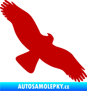 Samolepka Dravec na sklo 001 pravá tmavě červená