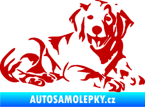 Samolepka Pes 106 pravá Retrívr tmavě červená