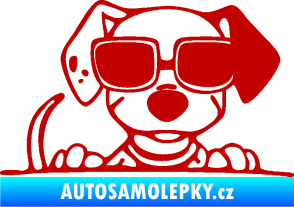 Samolepka Pes s brýlemi 101 pravá v autě tmavě červená