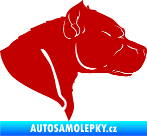 Samolepka Pitbull 004 pravá tmavě červená