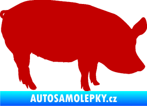 Samolepka Prase 001 pravá tmavě červená