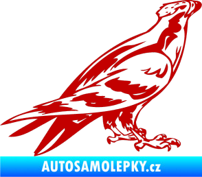 Samolepka Predators 006 pravá tmavě červená