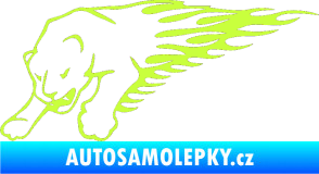 Samolepka Animal flames 020 levá puma limetová