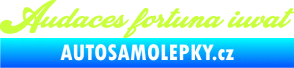 Samolepka Audaces fortuna iuvat nápis odvážnému štěstí přeje limetová