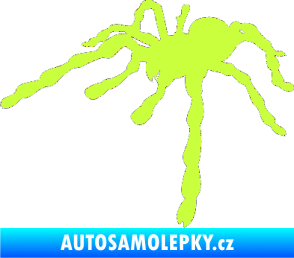 Samolepka Pavouk 013 - levá limetová