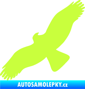 Samolepka Dravec na sklo 001 levá limetová