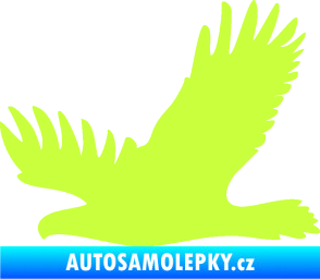 Samolepka Dravec na sklo 004 levá limetová