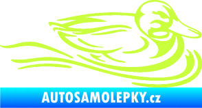 Samolepka Kachna 003 pravá ve vodě limetová