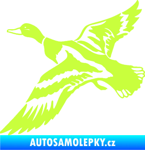Samolepka Kachna divoká 001 levá kačer limetová