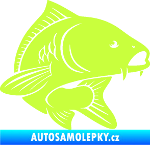 Samolepka Kapr 008 pravá limetová