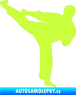 Samolepka Karate 008 levá limetová